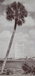 Jacksonville FL Prudential Building Architecture Foldout Skyline Panorama anni 50 - Foto 1 di 12