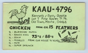 Scheda radioamatore Chicken Feathers Gastia Old Town Maine ME QSL vintage Muffin Banjo - Foto 1 di 2