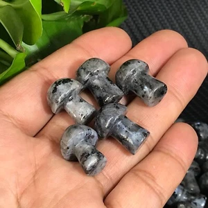 10pcs natural  black spectrolite Mushroom Quartz Crystal Reiki healing gem - Picture 1 of 11