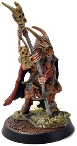 BEAST OF CHAOS Great Bray Shaman #1 WELL PAINTED Sigmar - Picture 1 of 3