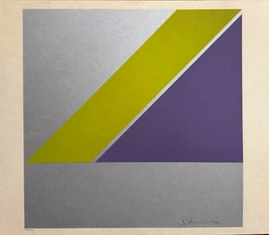 Hsiao Chin serigrafia colori "Geometrie" DD 58x50 firmata numerata - Foto 1 di 3