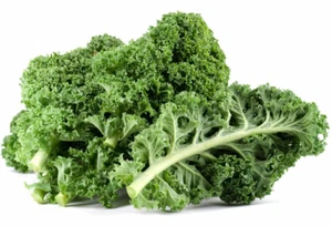 Kale - verdura muy nutritiva resistente al invierno - 1000 semillas seeds - Imagen 1 de 1