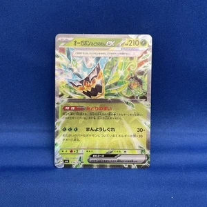 Teal Mask Ogerpon ex RR 020/187 Terastal Festival sv8a Pokemon Card Japanese NM - Picture 1 of 2