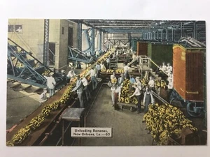 Vintage LA New Orleans Port Unloading Bananas Conveyer Belt Postcard c1930's - Picture 1 of 2