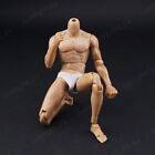 Zytoys 1/6 Strong Muscular Male Figure Body Doll 12" Fit Phicen Hot Toys W/Neck