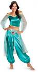Licensed Disney Aladdin Princess Jasmine Fab Prestige Adult Women Costume