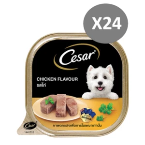 CESAR Wet Dog Food Filet Mignon with Chicken Liver Classic 100 g x24 pcs - Picture 1 of 13