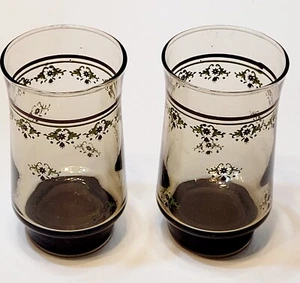 2 Replacement Vintage Libbey Smoke Brown Juice Glass Red And Green Flowers 6 oz - Picture 1 of 6