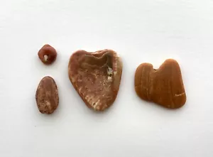 Lettera naturale a forma di I❤️U spiaggia conchiglie cuore conchiglia artigianato arte anniversario USA - Foto 1 di 12