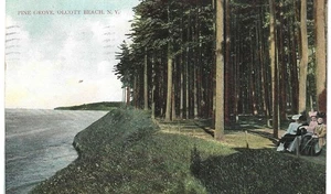 Pine Grove, Olcott Beach, N.Y. 1907 postcard showing ladies in Sunday best - Picture 1 of 2