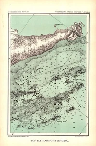 TURTLE HARBOR, FLORIDA, GEOLOGY Antique nautical map 1893 - Picture 1 of 1