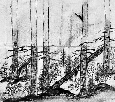 Bosque Dibujo Árboles Caídos Naturaleza Paisaje Parque Leñador Arte Madera Años 70 6x6" Foto 1 de 4