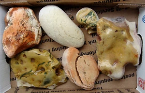 32 Ounces (2 Pounds) Royal Imperial Jasper Rough Specimen and/or Cabbing - Picture 1 of 2