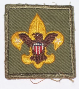 VINTAGE BOY SCOUT CUB SCOUT PATCH - Imagen 1 de 2