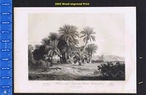 Kairo, vom Gelände von Ibrahim Pascha aus gesehen - 1865 Loffler Holzgravur - Bild 1 von 2