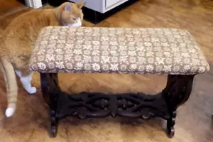 Antique Vintage Victorian Wood Carved Bench Stool Black Walnut ? C2 - Picture 1 of 8