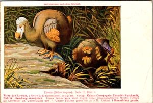 Alte deutsche Postkarte - Do Do Bird, Dronte (Didus Ineptus) unbespielt  - Bild 1 von 2