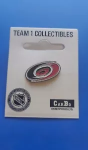 NHL Carolina Hurricanes Logo Pin Hockey OOP Vintage Great Gift! - Picture 1 of 2