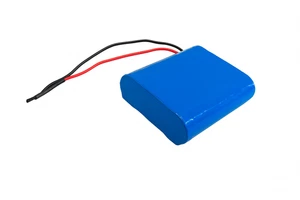 Lithium-Ionen Akku 12V 2,6Ah 28,86Wh Akkupack incl. 5A BMS - Picture 1 of 1