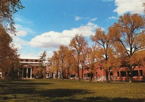Postal Nevada Reno Mackay School of Mines (MSM) Univ. de Nevada como nuevo sin usar - Imagen 1 de 1