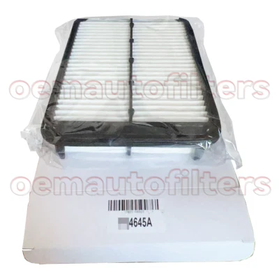 AF4645 CA6690 Engine Air Filter fit TOYOTA Tacoma 4Runner Previa 17801-08010 Foto 1 de 4