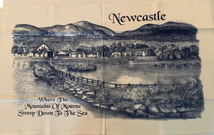 Toalla de té de lino irlandesa Newcastle Ireland vintage colgante de pared 31,5x18 - Imagen 1 de 3