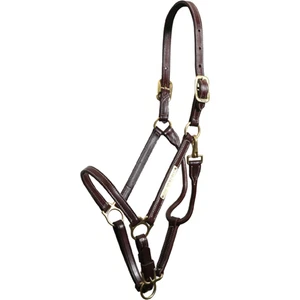 Soporte Walsh Sportsman - Imagen 1 de 3