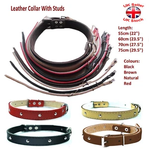 Cuero ajustable + forro polar cuello perro longitud: 30-75 cm (12-30") 4 colores - Imagen 1 de 1