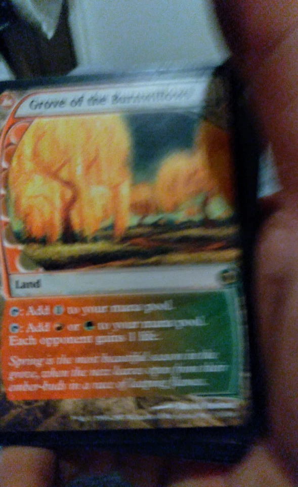 Grove of the Burnwillows Future Sight Regular - Image 1 of 1