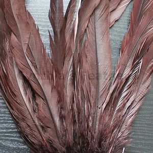 25 Pezzi Piume di Coda COQUE di Gallo Tinte Marrone Lunghe 12-14" per Artigianato, NUOVE - Foto 1 di 2