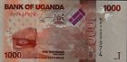 2021 Banknote 1000 Shillings Uganda. One Thousand Ugandan Shilling Circulated