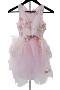 Zoe LTD Girls Floral Embroidered Tulle A Line Feather Belt Dress Pink Size 12 M - Picture 1 of 6