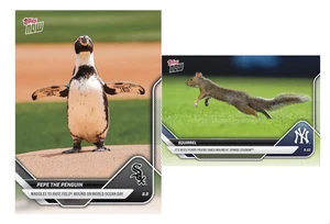 Scoiattolo - 2025 MLB Topps NOW - Card 596 X Pepe il Pinguino Card 276 (Prevendita) - Foto 1 di 1
