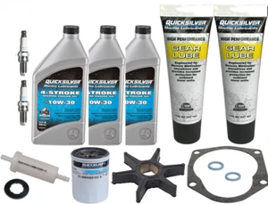 GENUINE Oil Impeller Plugs Filter SERVICE KIT 25HP MERCURY F25 BIGFOOT Outboard - Picture 1 of 1
