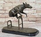 Dog Jumping Hurdle Bronze Sculpture Show Competition Trophy Original Art by Milo