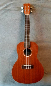 Protege by Cordoba U100CM Concert Ukulele Plays & Sounds Great Ready to Go ! - Picture 1 of 6