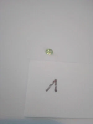1 einzelner echter Peridot oval geschliffen ca 2,8x3,8mm Pakistan oval facet nr1 - Bild 1 von 4
