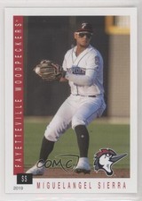 2019 Grandstand Fayetteville Woodpeckers Miguelangel Sierra