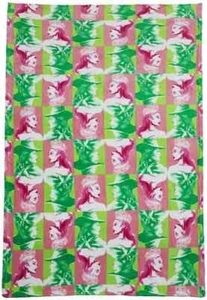 Wicked Glenda & Elphaba Coral Soft Fleece Polyester Blanket Wizard Oz Kids Girl - Picture 1 of 3