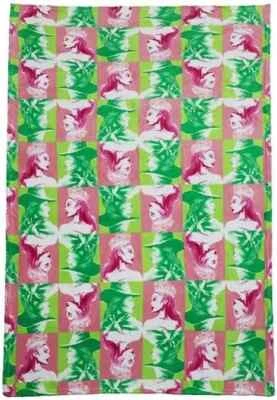 Wicked Glenda & Elphaba Coral Soft Fleece Polyester Blanket Wizard Oz Kids Girl - Image 1 of 3