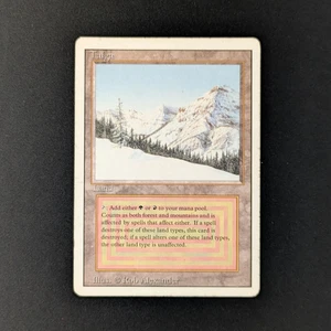 MTG \\>> Taiga (PL) <<// Revised - 341 Trading - Magic - Bild 1 von 6
