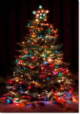 Doodlecards Pack of 10 Christmas Cards Colourful Christmas Tree