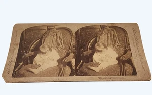 Antike Stereoansicht Dieses kleine Schwein ging auf den Markt Kind sitzend auf Stuhl - Bild 1 von 3