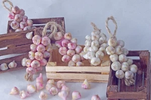 Knoblauch, Ein Knoblauchhaufen, Knoblauch im Puppenhaus, Puppenstube Miniatur, Puppenspielzeug - Bild 1 von 11