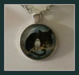 DIE SCHWARZE KATZE UND EULE SILBER ANHÄNGER MIT KETTE - ENTZÜCKENDE FREUNDE - Bild 1 von 3