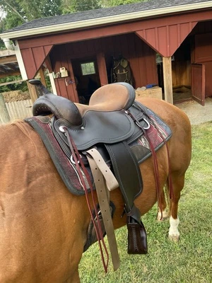 Circle Y Omaha Flex 2 17” seat - Image 1 of 4