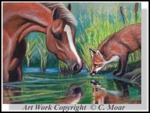 Red Fox Horse Colt Reflections Scene ACEO Limited Edition Miniature Art Print - Picture 1 of 1