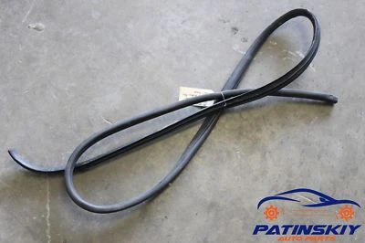 2009 KIA SPECTRA REAR LEFT DRIVER SIDE DOOR WINDOW WEATHER STRIP SEAL GUARD 09 — 第 1/4 张图片
