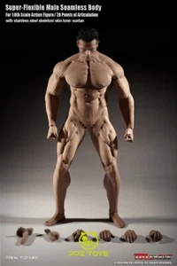 1/6 Phicen Super Flexible Male Seamless Body Steel Skeleton PL2018-M35 TBLeague - Picture 1 of 13