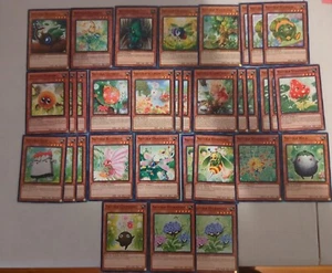 Yugioh Naturia Deck Core NM-LP - Picture 1 of 1